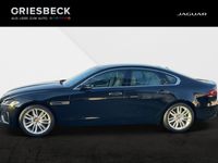 gebraucht Jaguar XF 