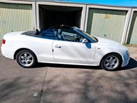 Gebraucht Audi A5 Cabriolet 231 PS (169 kW) 2010 Weiß Cabrio