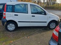 Gebraucht Fiat Panda 73 PS (53 kW) 2008 Weiß Kleinwagen