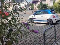 Gebraucht Abarth 595 165 PS (121 kW) 2016 Weiß Kleinwagen