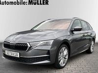 Gebraucht Skoda Octavia Selection 150 PS (110 kW) 2024 Grau Kombi