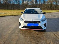 Gebraucht Kia ProCeed GT 204 PS (150 kW) 2021 Weiß Kombi