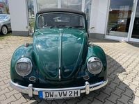 Gebraucht VW Käfer 60 PS (44 kW) 1967 Grün Cabrio