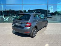 Gebraucht Skoda Fabia 110 PS (80 kW) 2020 Grau Kleinwagen