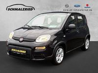 Gebraucht Fiat Panda 69 PS (50 kW) 2024 Othercolor Kleinwagen
