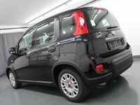 Gebraucht Fiat Panda 69 PS (50 kW) 2022 Schwarz Limousine