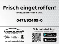 Neu BYD Dolphin Surf Boost 64 kW (88 PS) 2025 Grün Kleinwagen