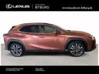 Neu Lexus UX 300h Sport Design Packet 199 PS (146 kW) 2026 Rot SUV