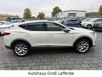 Gebraucht Cupra Formentor 150 PS (110 kW) 2023 Weiß SUV