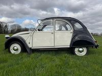 Gebraucht Citroën 2CV 31 PS (22 kW) 1986 Weiß Limousine