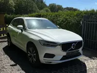 Gebraucht Volvo XC60 Momentum 197 PS (144 kW) 2020 Weiß SUV