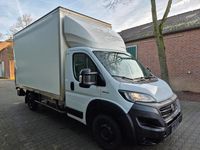 Gebraucht Fiat Ducato 160 PS (117 kW) 2021 Weiß Van