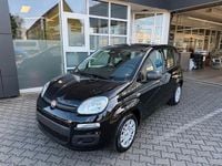 Neu Fiat Panda Icon 65 PS (47 kW) 2026 Schwarz Kleinwagen