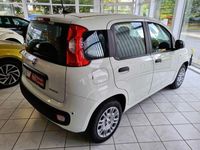 Gebraucht Fiat Panda 51 PS (37 kW) 2025 Andere Kleinwagen