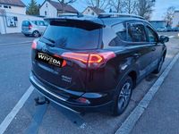 gebraucht Toyota RAV4 Hybrid Edition 4x2 Aut. LED~NAVI~LEDER~KAMERA~ACC