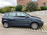 Gebraucht VW Polo Cricket 75 PS (55 kW) 2004 Grau Kleinwagen