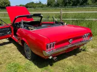 Gebraucht Ford V8 230 PS (169 kW) 1967 Rot Cabrio