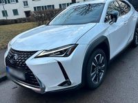 Gebraucht Lexus UX 250h 184 PS (135 kW) 2021 Weiß SUV