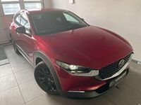 Neu Mazda CX-30 Homura-Line 140 PS (102 kW) 2025 Rot SUV
