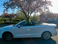 Gebraucht Audi A3 Cabriolet Design 150 PS (110 kW) 2019 Weiß Cabrio