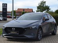 Gebraucht Mazda 3 Selection 122 PS (89 kW) 2019 Grau Limousine