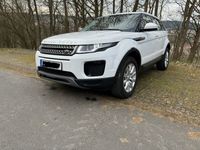 gebraucht Land Rover Range Rover evoque 4WD / Pure Allrad