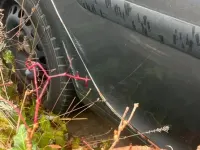 Brugt VW Golf V 75 HK (55 kW) 2004 Grå Hatchback