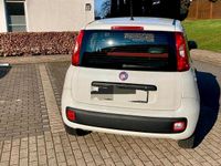 Gebraucht Fiat Panda 70 PS (51 kW) 2016 Weiß Kleinwagen