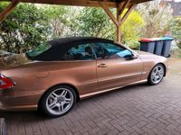 gebraucht Mercedes CLK55 AMG AMG Cabrio w209