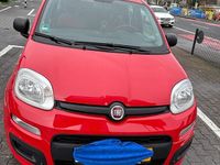 Gebraucht Fiat Panda 69 PS (50 kW) 2019 Rot Kleinwagen