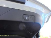 Gebraucht Ford Puma ST-Line 155 PS (114 kW) 2024 Cactus grey SUV