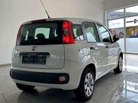 gebraucht Fiat Panda Pop 1.2 8V eFH Tagfahrlicht ZV ABS Servo Airb