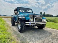 Gebraucht Jeep Wrangler 121 PS (88 kW) 1993 SUV