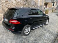 gebraucht Mercedes ML250 