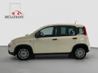 Gebraucht Fiat Panda Tech 69 PS (50 kW) 2023 Weiß Kleinwagen