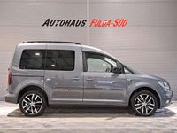 Gebraucht VW Caddy Edition 131 PS (96 kW) 2019 Indiumgrau metallic Van / Kleinbus