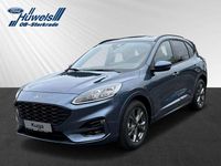 Gebraucht Ford Kuga ST-Line X 151 PS (111 kW) 2024 Blau SUV