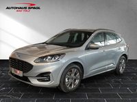 Gebraucht Ford Kuga ST-Line 150 PS (110 kW) 2023 Solar silver (metallic) SUV