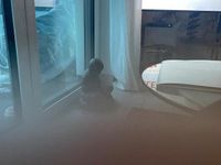 Gebraucht Infiniti Fx30 Premium 237 PS (174 kW) 2013 Weiß SUV