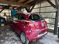 Gebraucht Ford Ka Titanium 69 PS (50 kW) 2010 Violet Kleinwagen