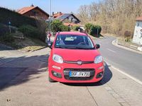 Gebraucht Fiat Panda Easy 69 PS (50 kW) 2017 Rot Kleinwagen