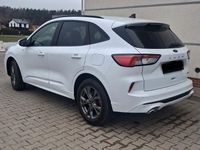 Gebraucht Ford Kuga ST-Line X 224 PS (164 kW) 2023 Weiß SUV