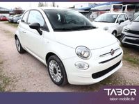 gebraucht Fiat 500 1.0 MHEV 70 7"-DAB LM15Z Klima Temp in Achern