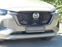 Gebraucht Mazda CX-60 Homura-Line 254 PS (186 kW) 2025 Beige SUV