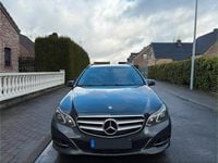 Gebraucht Mercedes E220 Avantgarde 170 PS (125 kW) 2014 Grau Kombi