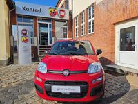 Neu Fiat Panda Red 65 PS (47 kW) 2026 Rot Kleinwagen