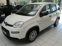 Gebraucht Fiat Panda 69 PS (50 kW) 2024 Weiß Kleinwagen
