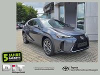 Neu Lexus UX 300h Sport Design Packet 199 PS (146 kW) 2026 Obsidiangrau SUV