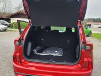 Gebraucht Ford Kuga ST-Line 150 PS (110 kW) 2024 Lucidred SUV
