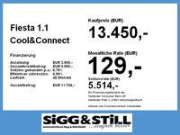 Gebraucht Ford Fiesta Cool & Connect 75 PS (55 kW) 2022 Magneticgrau (metallic) Kleinwagen